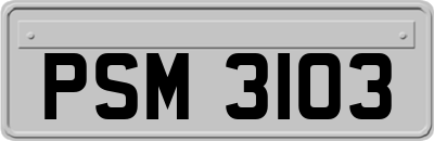PSM3103