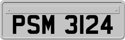 PSM3124