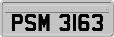 PSM3163