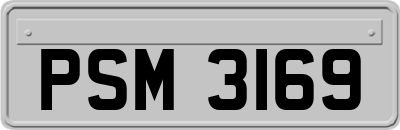 PSM3169