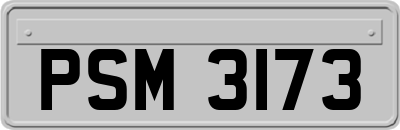 PSM3173