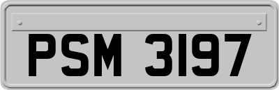 PSM3197