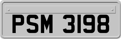 PSM3198