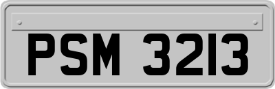 PSM3213