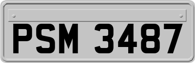 PSM3487