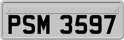 PSM3597