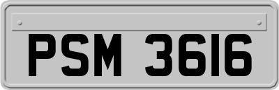 PSM3616