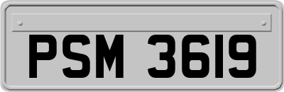 PSM3619
