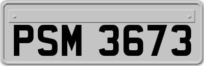 PSM3673
