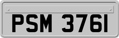PSM3761
