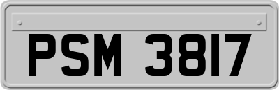 PSM3817