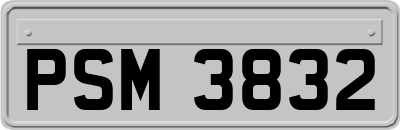 PSM3832
