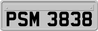 PSM3838