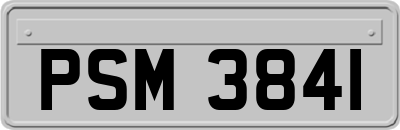 PSM3841
