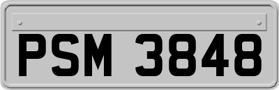 PSM3848