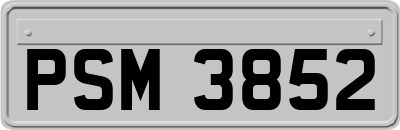 PSM3852