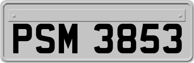 PSM3853