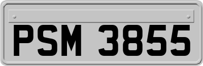 PSM3855