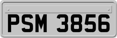 PSM3856