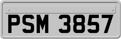 PSM3857