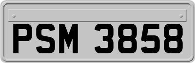 PSM3858
