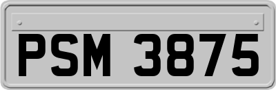 PSM3875