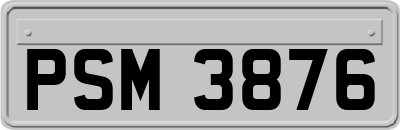 PSM3876