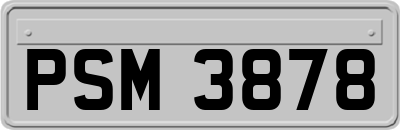 PSM3878
