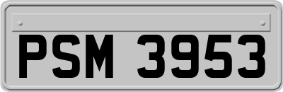PSM3953