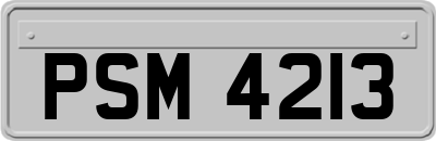 PSM4213