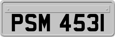 PSM4531