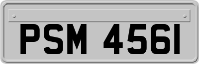 PSM4561