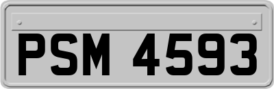 PSM4593