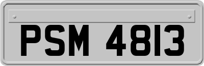PSM4813