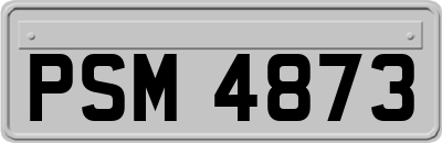 PSM4873