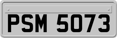 PSM5073