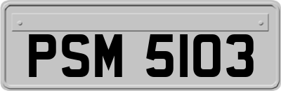 PSM5103
