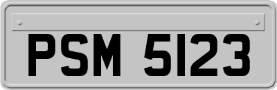 PSM5123