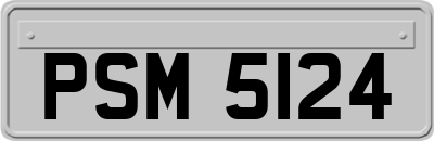PSM5124