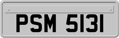PSM5131