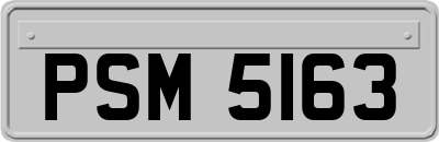PSM5163
