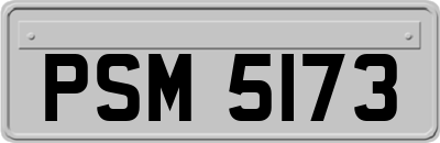 PSM5173