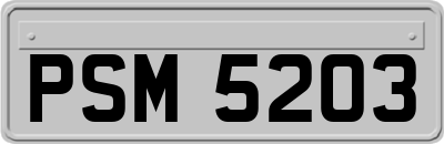 PSM5203
