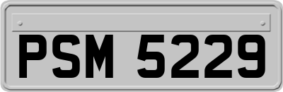 PSM5229