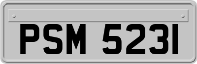 PSM5231