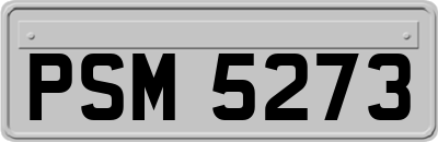 PSM5273
