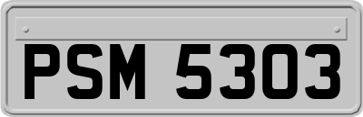PSM5303