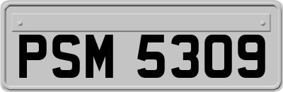 PSM5309