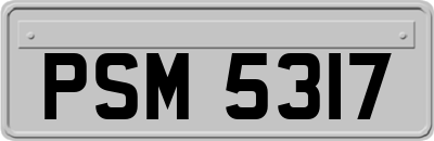 PSM5317