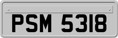 PSM5318